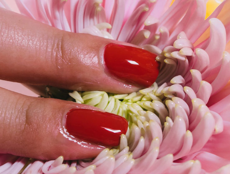 Woman touching a flower