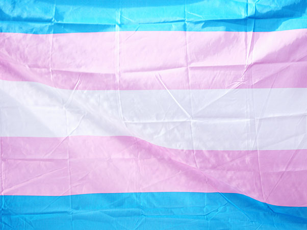 A transgender flag